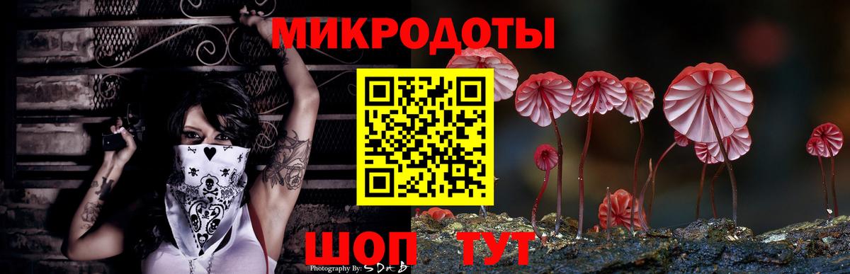 Зима  Псилоцибиновые грибы Cubensis  Вход с VPN 