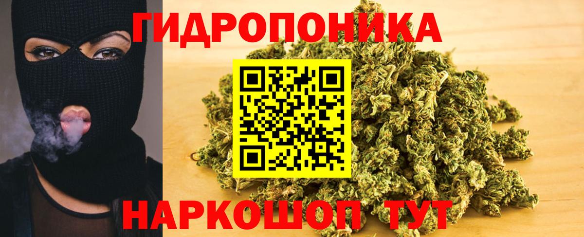 Шишки марихуана план Зима